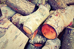 Thorp wood burning boiler costs
